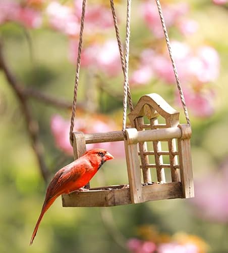 Audubon Park Cardinal Blend Wild Bird Food, Cardinal Bird Seed For Outside Feeders, 4-Pound Bag #TOP7