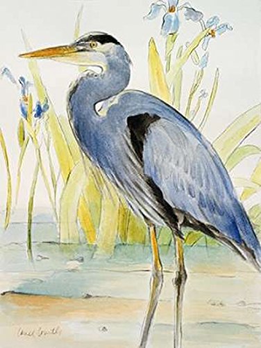Great Blue Heron Poster Print by Lanie Loreth (11 x 14)