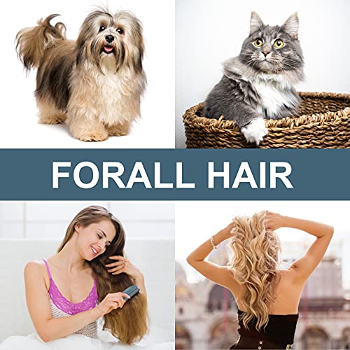 Molain Tierhaarentfernerbürste, Hundehaarentferner für Teppich, Kleidung, Möbel, Sofa, Autos, Katzenhaarentfernerkamm, Gummibürste für Tierhaare, Hundehaarentfernungsprodukte