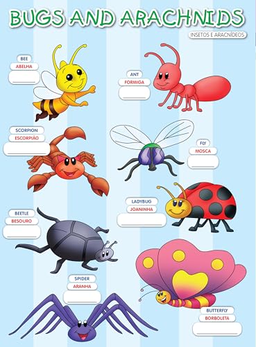 Aprendendo Inglês - Animais