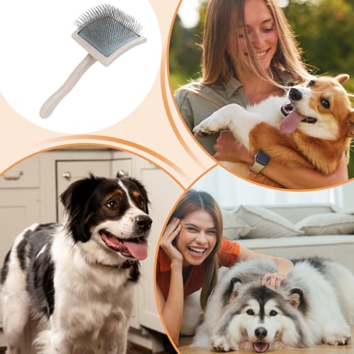 Brosse de chien lisse et fil métallique pour le toilettage quotidien des poils - 4