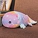 LZHsport Poupée Mignonne Poisson en Peluche poupée Poisson poupée Couchage Oreiller de lit, étoile à Cinq Branches Arc-en-Ciel