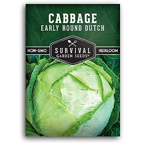 Survival Garden Seeds - Early Round Dutch Cabbage Seed Cover