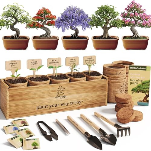 Planter's Choice Bonsai Tree Starter Kit - Unique Gifts for