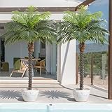 Keeplush 5ft Artificial Phoenix Palm Tree for Outdoor Indoor...