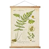 Vintage Fern Poster Hanger Frame, Retro Style Wall Art Prints, Printed on Linen with Natural Wooden Frames, Wall Hanging Decor