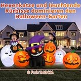 Zoom IMG-2 danxilu 8 piedi di lunghezza Zoom IMG-2 danxilu 8 piedi di lunghezza