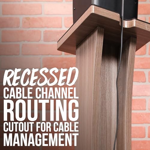 Gator Frameworks Elite Series Studio Monitor Stands | Monitorständer aus Holz | (GFW-ELITESPKSTMN-MPL) | Ahorn