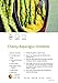 Veg-Up!: Easy Meat Free, Calorie Counted Recipes for Everyone