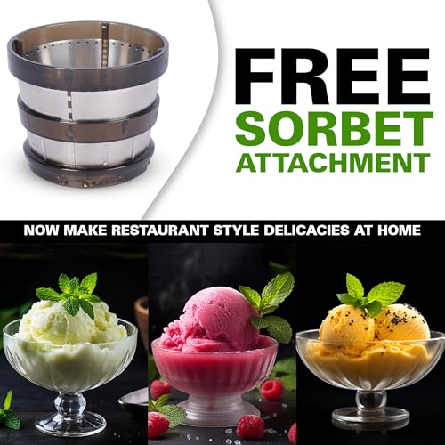 Image of Hamilton Beach Professional Cold Press Slow Juicer with FREE Sorbet Attachment, Smart PurePress Technology, Slow Juicer for Fruits & Vegetables