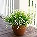 Artificial Fake Outdoor Plants Flowers for Summer Decoration,10 Bundles Faux Plastic Tall Monkey Grass Greenery UV Resistant Realistic for Home Outside Planter Window Porch Patio Garden-White