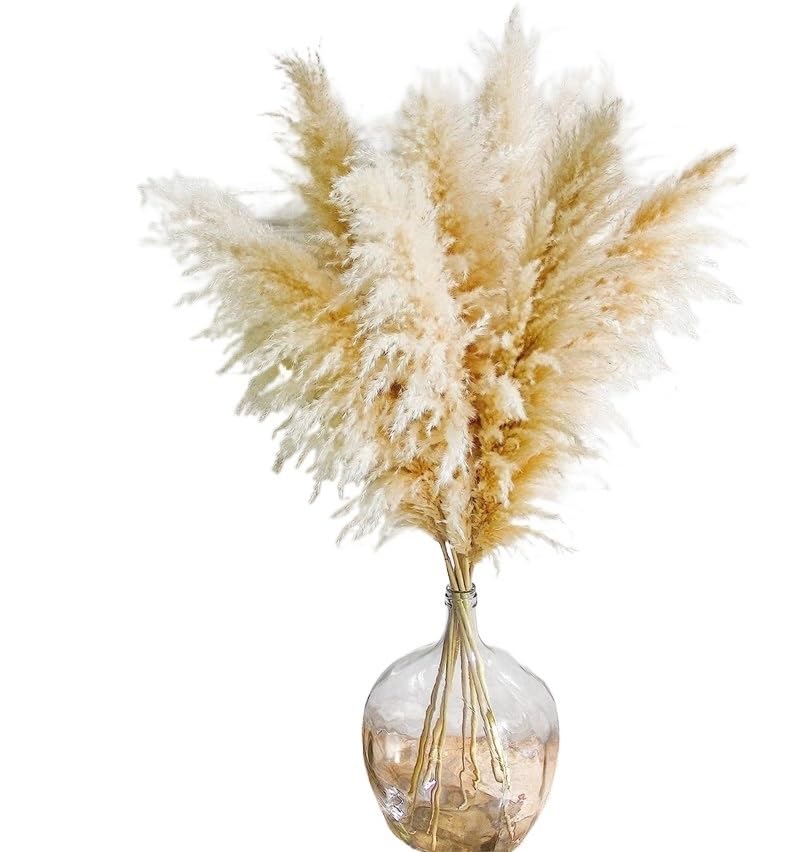 Pampas Grass Grande 50-60cm Decoración Floral Secada miniatura 1