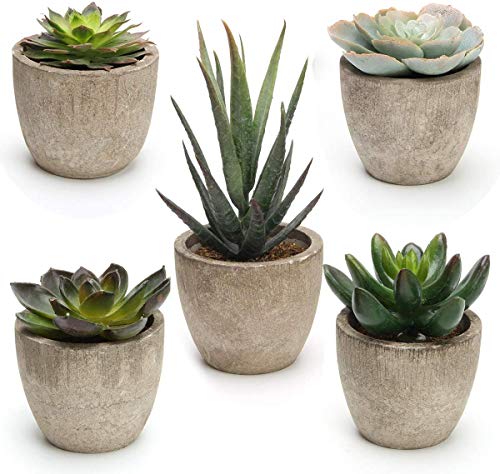 ATR ARTTOREAL Artificial Succulent Plants Assorted Decorative Faux Succulent Potted Fake Cactus Cacti Plants with Pots, Set of 5