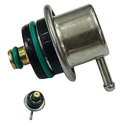DAOKACUO Fuel Injection Pressure Regulator Fits for VW Audi,Golf Passat Jetta A6 A4 A8 S4 S6 1994 1995 1996 1997 1998 1999 2000 2001 2002 2003 2004 2005,0280160557 0280160515 PR351 PR221 PR401