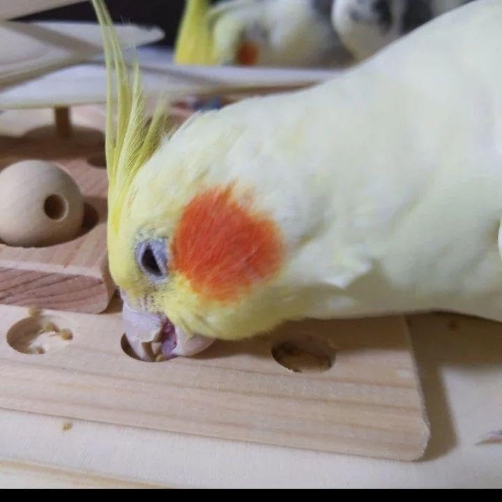 83 ミラーボードとフォージングトイセット インコ バードトイ