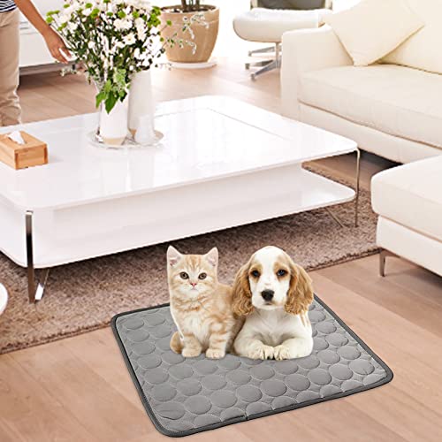Kühlmatte für Hunde, Haustier-Kühlmatten, Sommer-Eiskissen, leicht, atmungsaktiv und faltbar, für Kiste, Zwinger, Katzenbett, Sofa, kaufeste wiederverwendbare Hundematten (1 Packung)