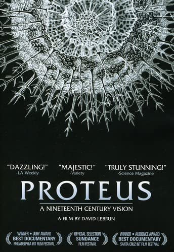Proteus