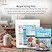 Chefmaster White Royal Icing Mix, Decorating Cookies, Making Cake Decorations, Extra Smooth & Versatile, Just Add Water, Non-GMO, Made in USA, 16 oz