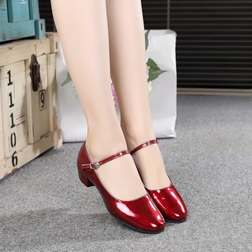 SWDZM Girls Ballroom Dance Shoes Closed Toe Latin Salsa Tango Practice Shoes Low Heel for Kid Toddler2