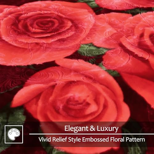Image of JYK Korean Mink Fleece Bed Blanket Queen Size 75 inch x 87 inch, 5 Pounds - 2 Ply Reversible Silky Soft Plush Warm, Comfy Blanket for Autumn, Winter -Rose /Virgin Mary