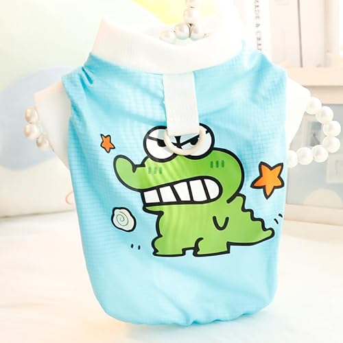 ybg̕ TVc^Ngbv tėp ʋCX|[cEFA ^phbOEFA