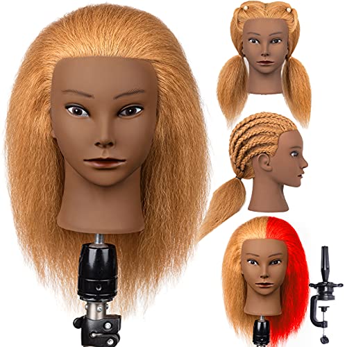 Stancia Mannequin Head, 100% Human Hair Afro Mannequin Head, 18â€ Mannequin Head for Beginners, Hairdresser Manikin Head, Training Doll Head for Hair Styling and Practice(with Holder, Brown)
