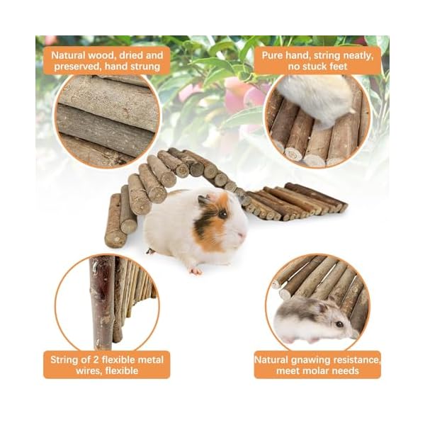 Hamiledyi Bunny Holzleiter Meerschweinchen DIY Spielzeug Nager Kauen & Klettern Brücke Chinchillas Käfig Tunnel/Versteck/Hütte/Rampe/Trennwand für Kleintiere Ratten Syrisch – Bild 4