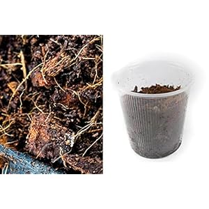 Bioactive Microfauna Soil Culture 350 ml