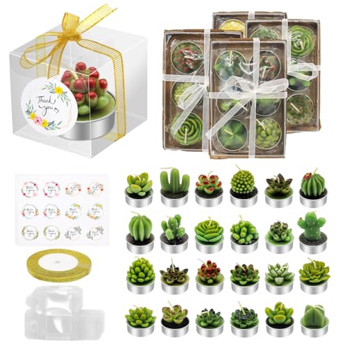 AZEAM 24 Pcs Succulent Candles Party Favors, Bulk Cactus Table Decor for Guests, Mini Tiny Handmade Plant Tealights Candle Decoration Set for Shower Prizes Game Bridal Wedding Home Birthday
