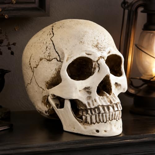 ENNAS Life Size Skull Head Statue, Realistic Resin Gothic Decor