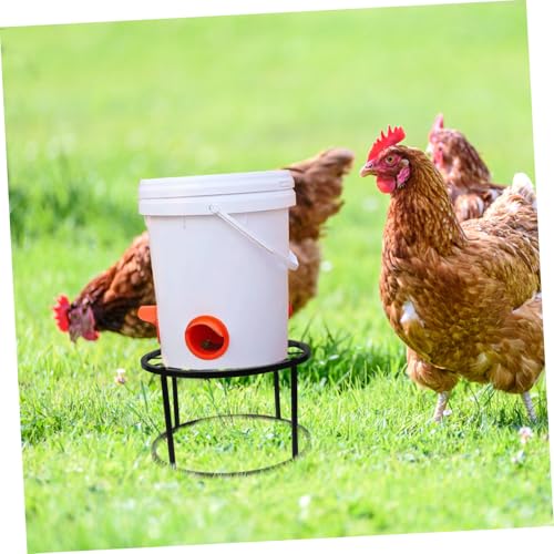 Cadre pour abreuvoir poulets stable contre l'eau sale extérieure