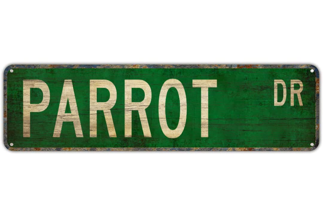 PARROT DR Vintage Tin Signs Art Plaque Aluminum for Bedroom Kitchen Garden Wall Bar Club Coffee Hanging Home Decor 4x16 Inch