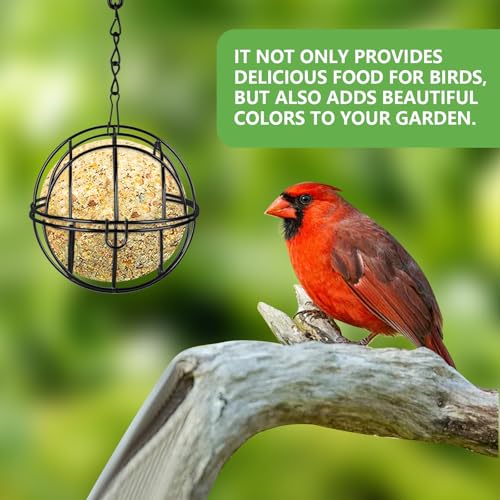 4 Pièces Mangeoire Oiseaux Exterieur à Suspendre, Mangeoire pour Oiseaux, Bird Feeder avec Crochets en Forme de S, Distributeur Boules de Graisse Oiseaux, Mangeoires pour Oiseaux Sauvages (Noir) – Image 5