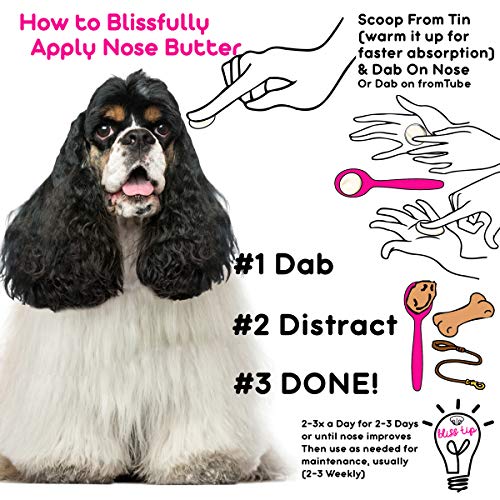 Image of The Blissful Dog Cocker Spaniel Nose Butter, Versatile Dog Nose Balm for Dry Nose, Handcrafted Nose Moisturizer, Easy-to-Apply Dog Essentials, Unscented, 0.15 oz.