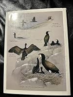 Bird Watcher's Diary 0091494907 Book Cover