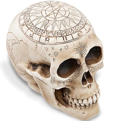 Creepy-Witchcraft-Skull-Halloween-Plastic-Decor-8x55-1-Count-Realistic-Skull-Design-Add-Spooktacular-Charm-to-Your-Haunted-House