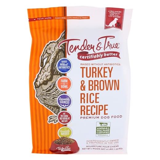 Tender & True Antibiotic-Free Turkey & Brown Rice Recipe Dog Food, 4 lb