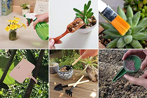 PBHEPJ Garden Tools Set.Succulent Tool Set.5 Piece Aluminum Kit.Pruning Shears.Butterfly.Knee Protection.Pruning Saws.Garden Storage Bag.Gardening Gloves.Gardening Gifts Tools Set for Man Woman