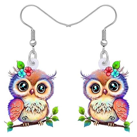 Acrylic Drop Owl Earrings Bird Dangle Funny Design Lovely Gift For Women By The Bonsny (Multi) Cover