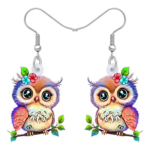 Acrylic Drop Owl Earrings Bird Dangle Funny Design Lovely Gift For Women By The Bonsny