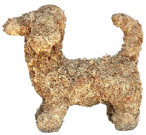 Dachshund Sphagnum Moss Topiary Form