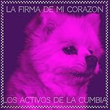 LOS ACTIVOS DE LA CUMBIA
