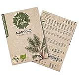 BIO Mangold Samen, 60 Mangoldsamen, hohe Keimrate, 100% Natürlich von Little Plants, BIO Samen Mangold Rhubarb Chard für Gemüsegarten, Gemüsebeet, Hochbeet – BIO Saatgut Nachhaltig Verpackt