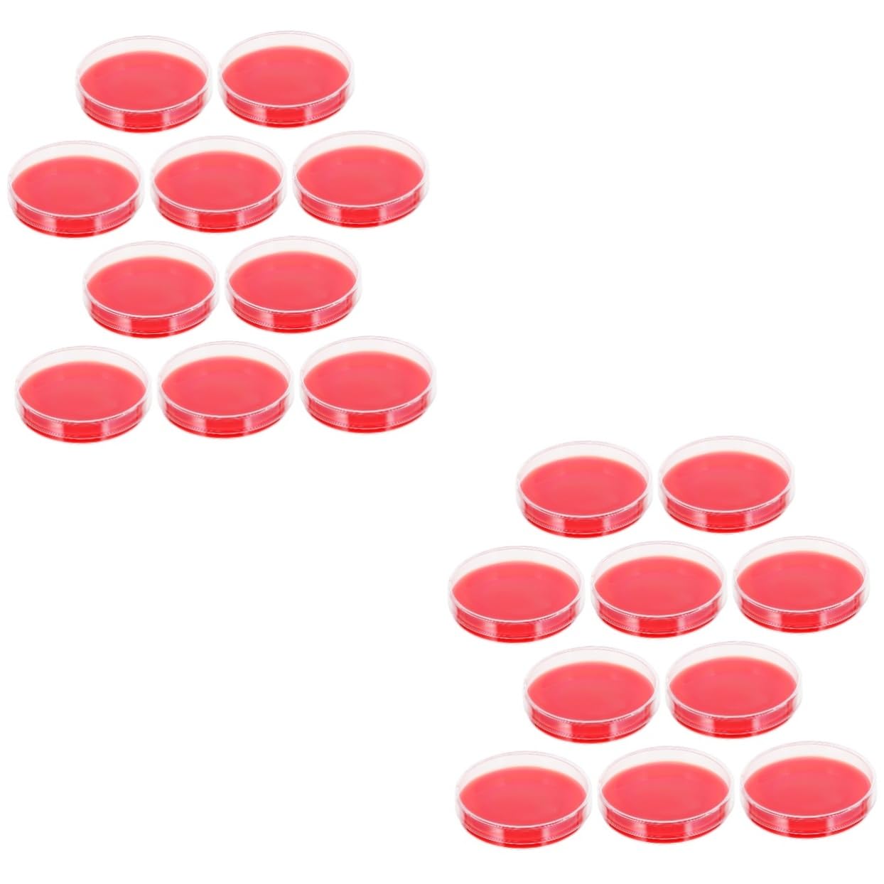 GLEAVI 20 Piezas Placa de Agar placas de medio de cultivo placa petri con agar placa de agar-petri placas de agar medio de crecimiento medio de cultivo agar placa de Petri Colombia