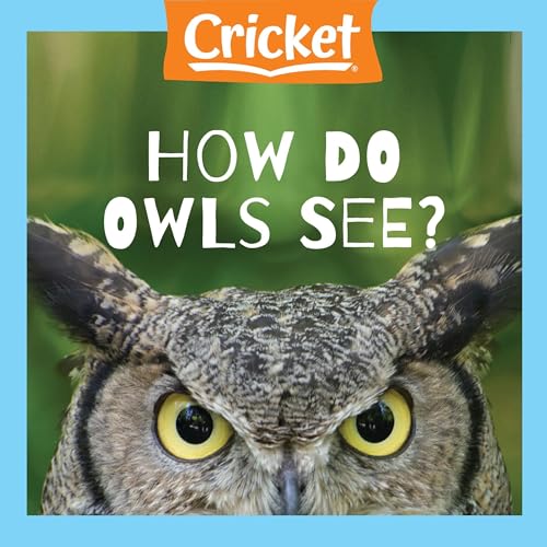 How Do Owls See? by Edna Manning episode artwork