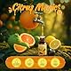 SALUBRITO Zitrus Ätherische Öle Set, Naturrein Zitrusdüfte Duftöle für Diffuser - Süße Orange, Bergamotte, Grapefruit, Zitrone, Mandarine, Limette Aromatherapie Öl