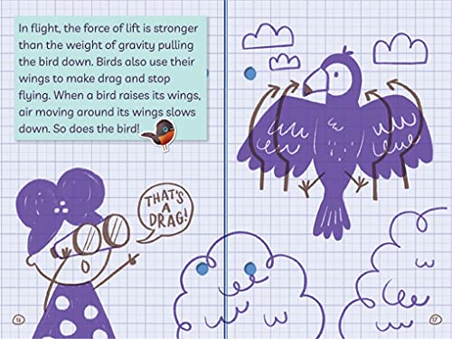Exploring Flight! (Ada Twist, Scientist: The Why Files #1) (The Questioneers) - Image 9