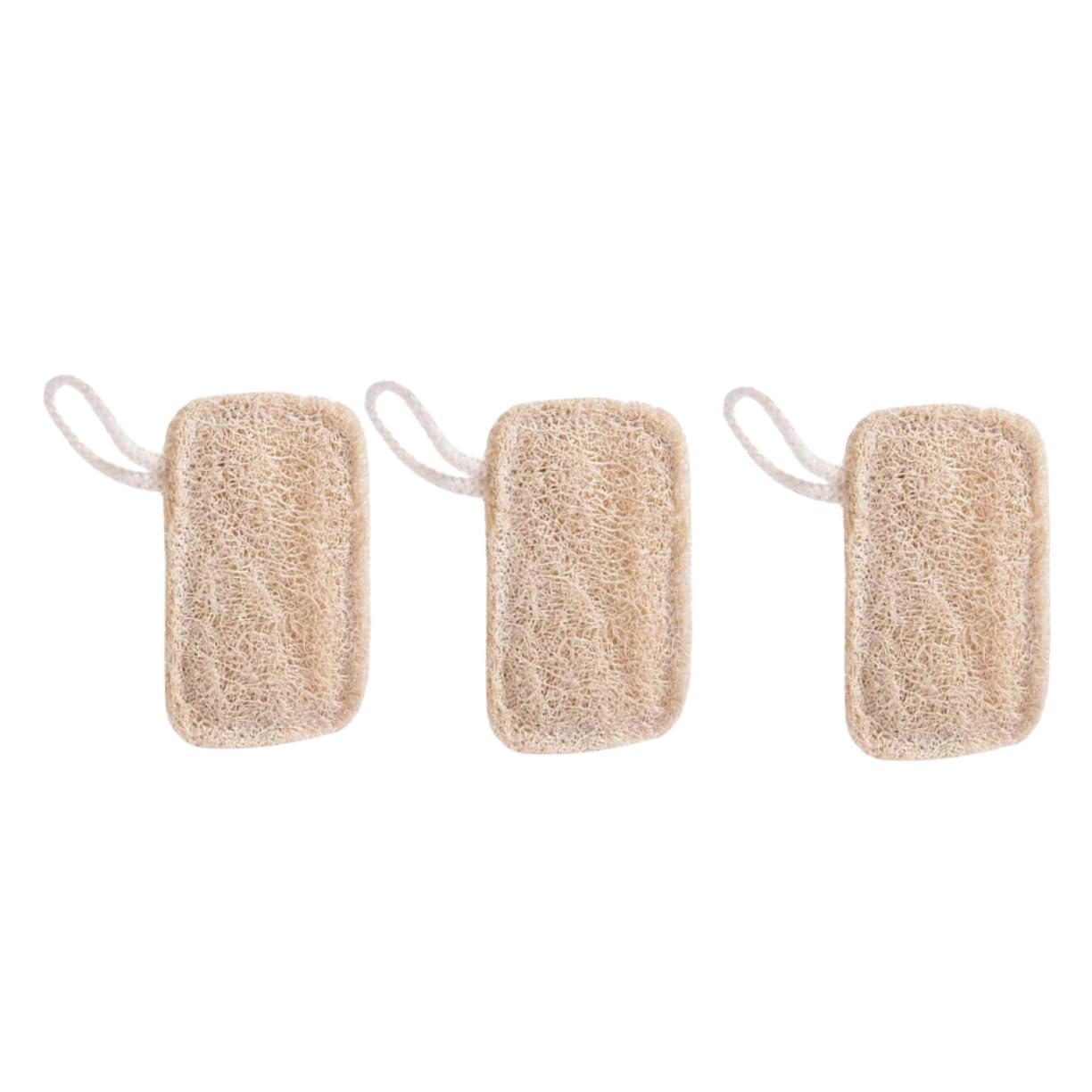 Éponge naturelle luffa Healvian vaisselle éclatante et zéro rayure pour vos ustensiles