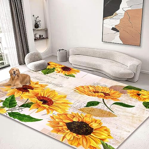 Tapete grande rectangular 180x150 cm para interior