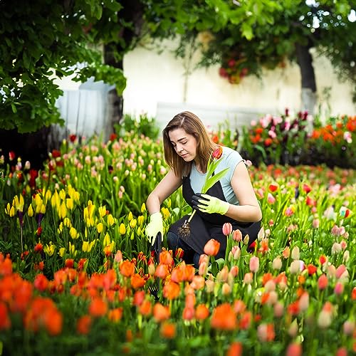 Weed Puller Tool Garden Weed Pulling Tool, Portable Garden Weeder Tool Uprooting Weeding Tool, 4 Teeth Manganese Steel Forged Hand Weeder for Vegetable Gardening Backyard Farm Planting & Weeding - Image 7